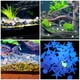 thumbnail image 4 of FUTUREORYY 100Ud De Resina Para Acuarios Decorativas Con Brillo, 4 of 7