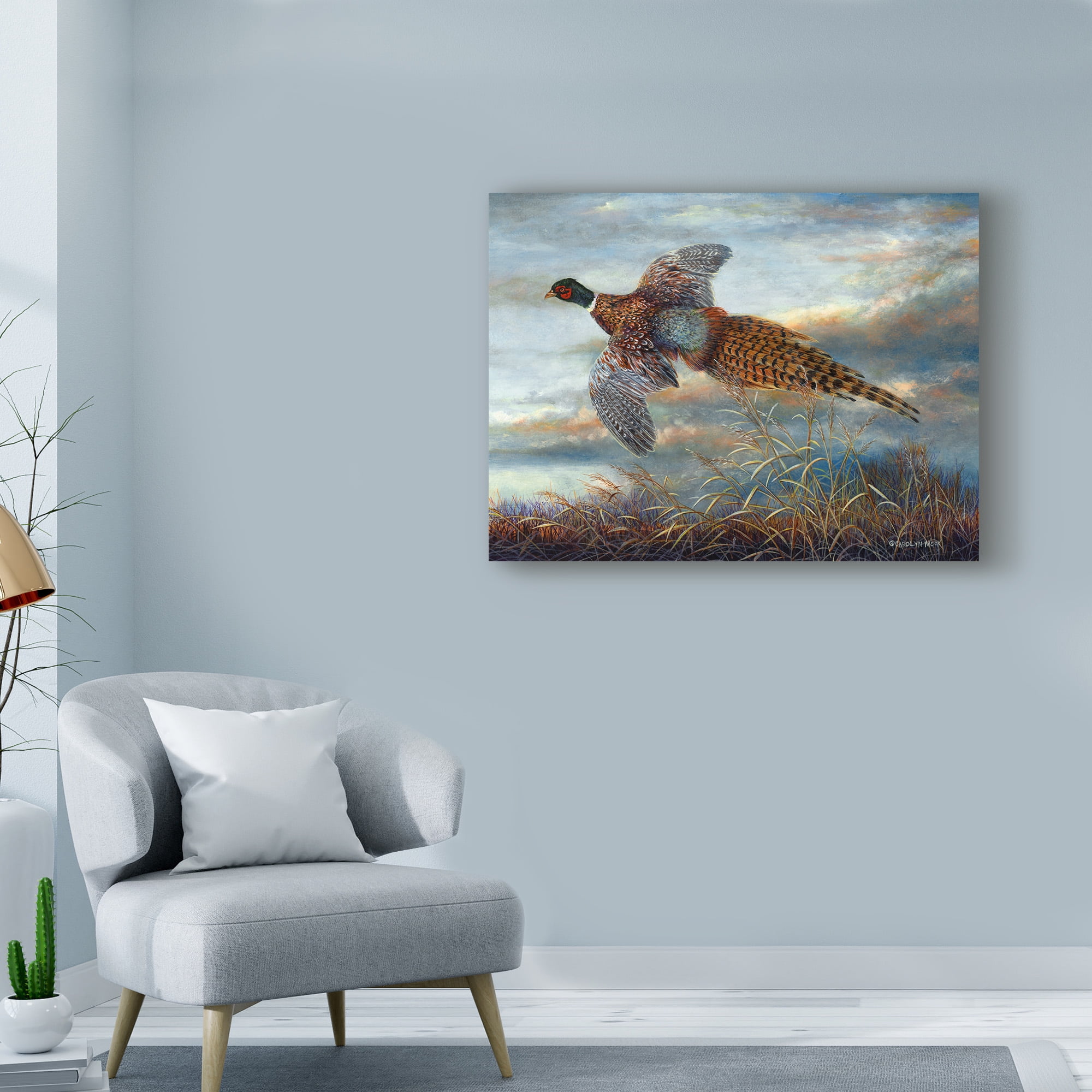 Trademark Fine Art 'Taking Flight' Canvas Art by Carolyn Mock