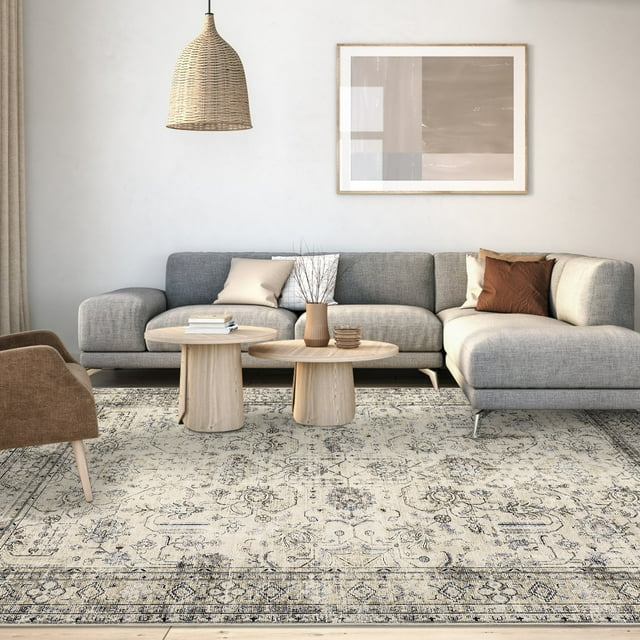 Washable Area Rugs, Entryway Rug Non Slip Rugs, Low-Pile Floor Carpet, Distressed Small Rug, Vintage Printed Doormat Soft Area Rug for Kitchen Living Room Bedroom Bathroom