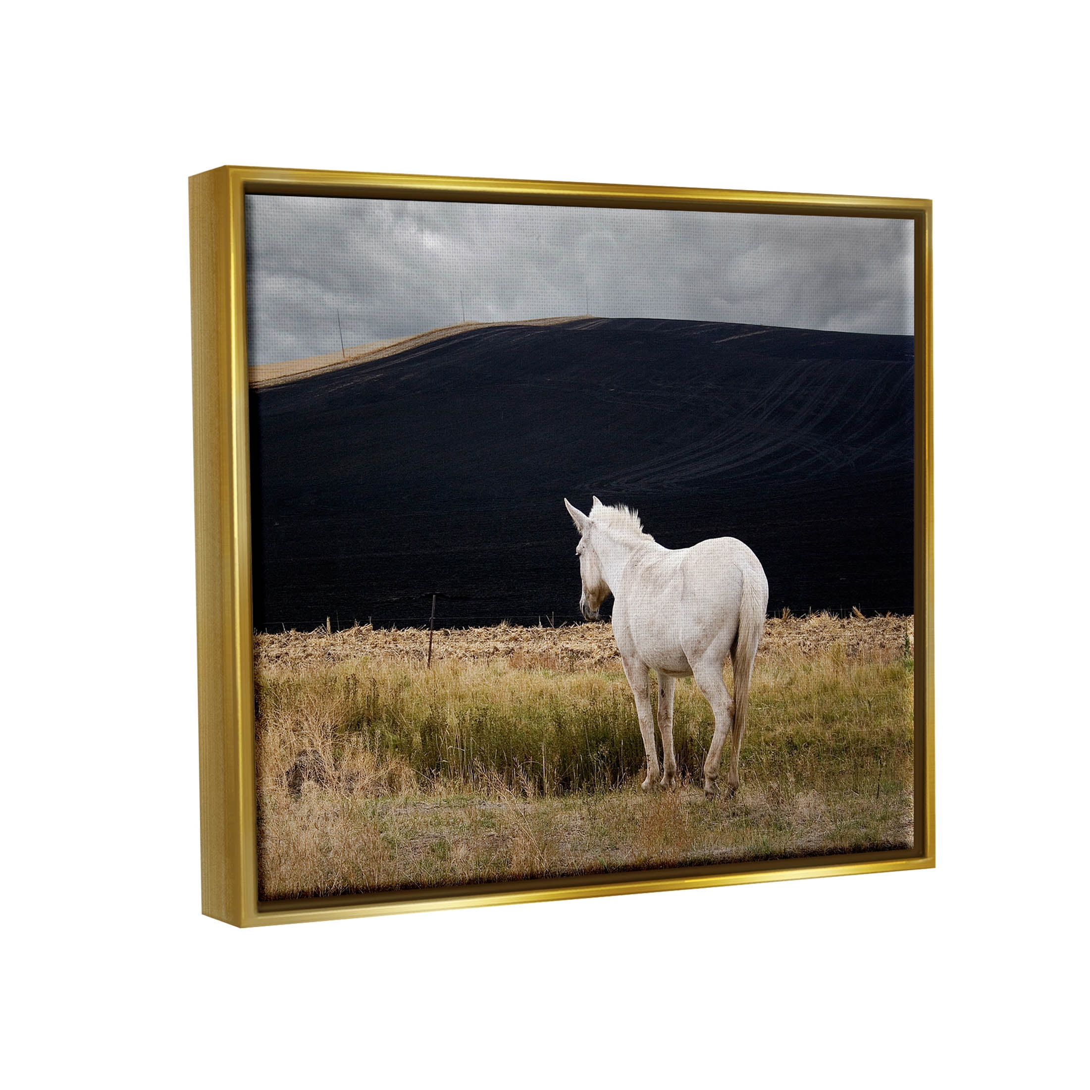 Stupell Industries Lone White Horse Vast Country Pasture Photograph Metallic Gold Floating Framed Canvas Print Wall Art, Design by David Lorenz