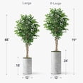 thumbnail image 4 of Artificial Tree in Geometric Pattern Planter, Fake Ficus Silk Tree for Indoor and Outdoor Home Decoration - 66" Overall Tall (Plant Pot Plus Tree), 4 of 5
