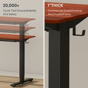 FitStand 48x24 Electric Height Adjustable Standing Desk with Whole-Piece Desktop, Ergonomic Sit Stand Computer Desk for Home Office Workstation, Mahogany