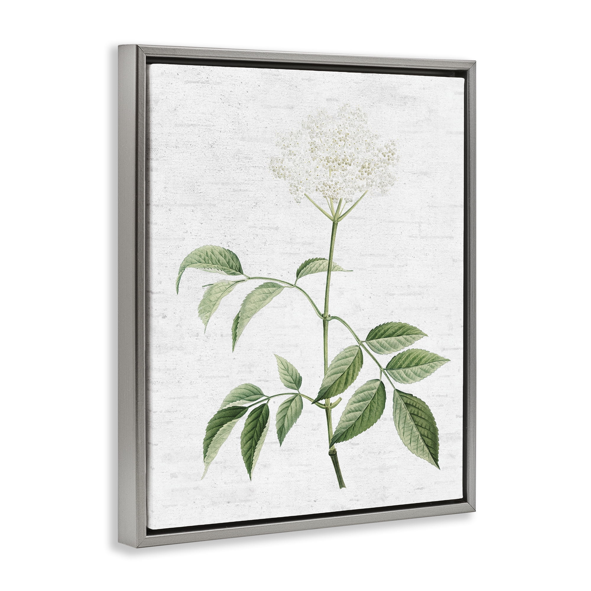 Stupell Industries Subtle Neutral Flower Botanical & Floral Painting Gray Floater Framed Art Print Wall Art, 25 x 31