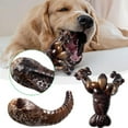 thumbnail image 2 of Nylon Dog Chew Toy for Teeth Cleaning and Stress Relief, 250g, 2 of 7