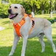 thumbnail image 4 of Dog Vest Adjustable Training Harness for Training Walking Reflective Belt for Large Small Dogs Rope Heavy Duty, 4 of 14