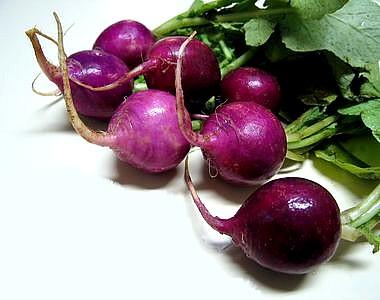 100 Fresh Harvest Purple Plum Radish Seeds – Easy Grow, Annual, Full Sun