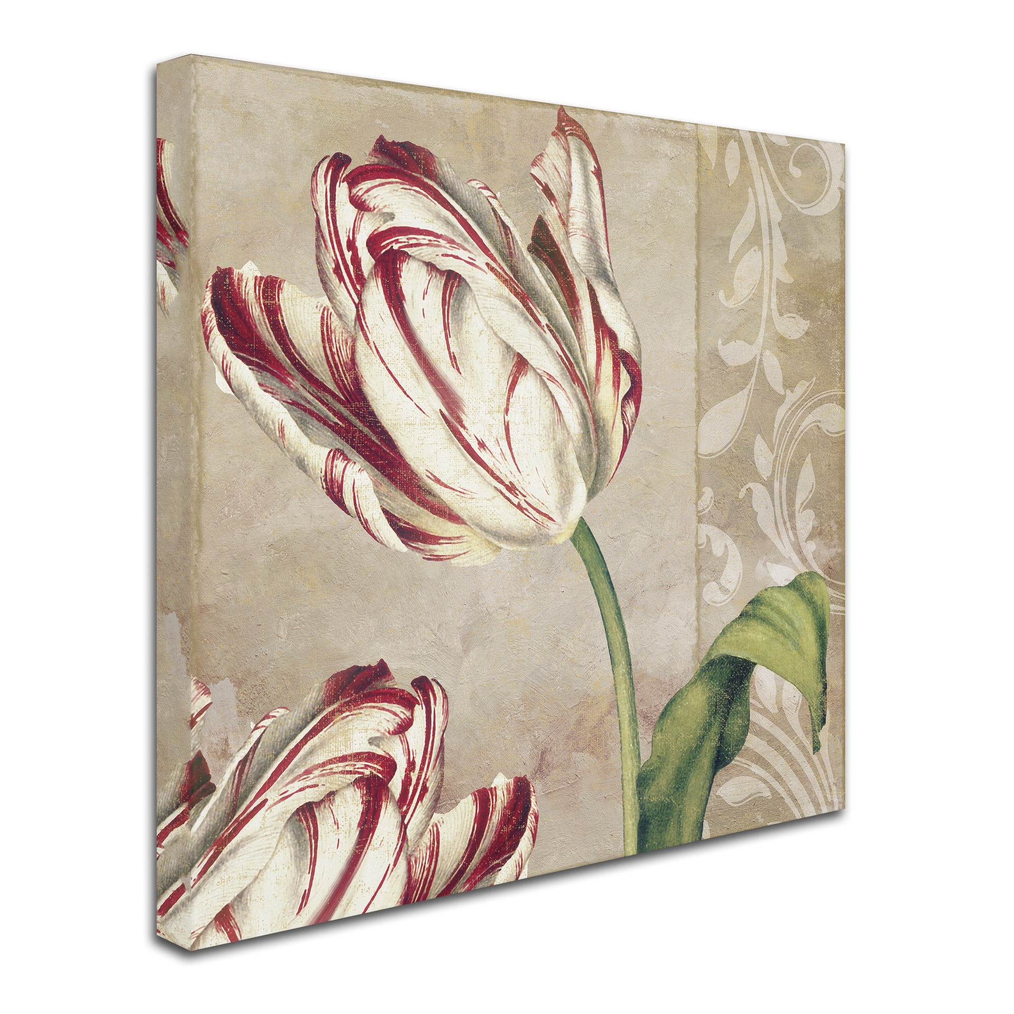 Trademark Fine Art "Peppermint Tulips I" Canvas Art by Color Bakery