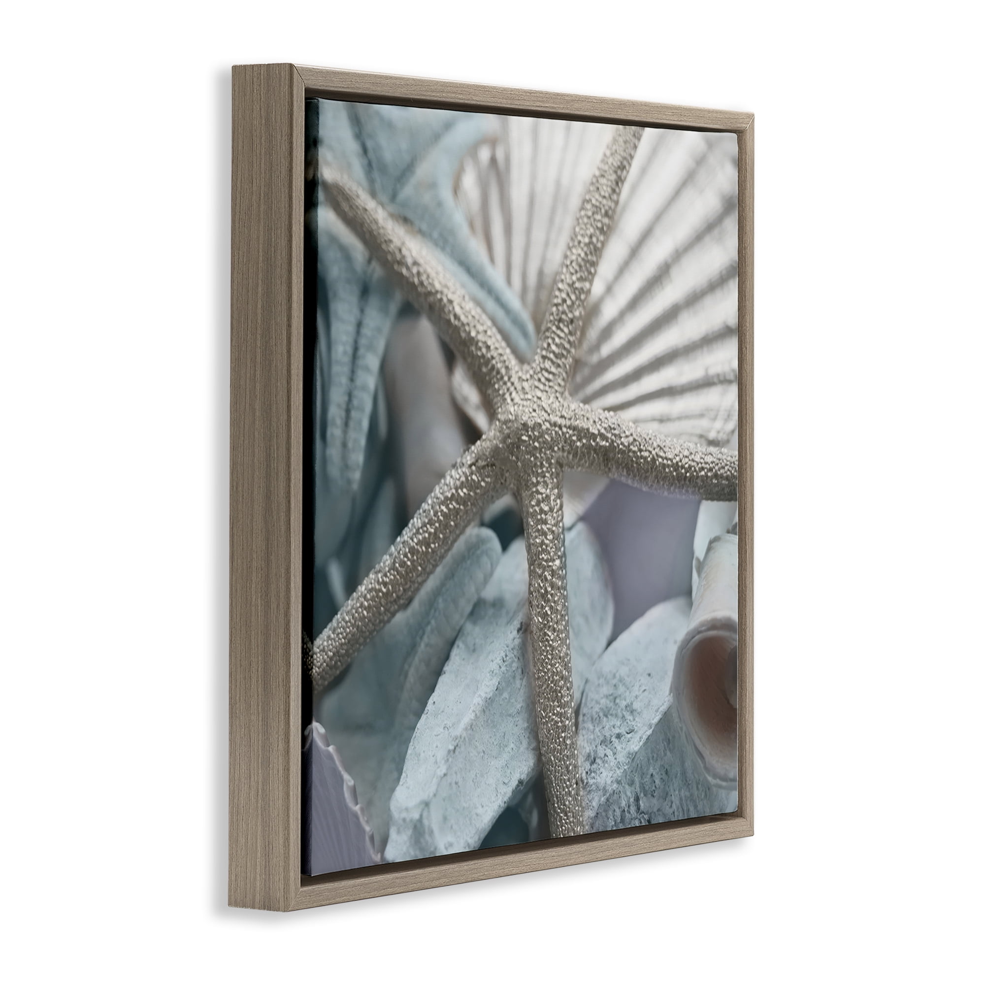 Stupell Industries Seashells & Starfish Nautical & Beach Photography Brown Floater Framed Canvas Art Print Wall Art, 25 x 25