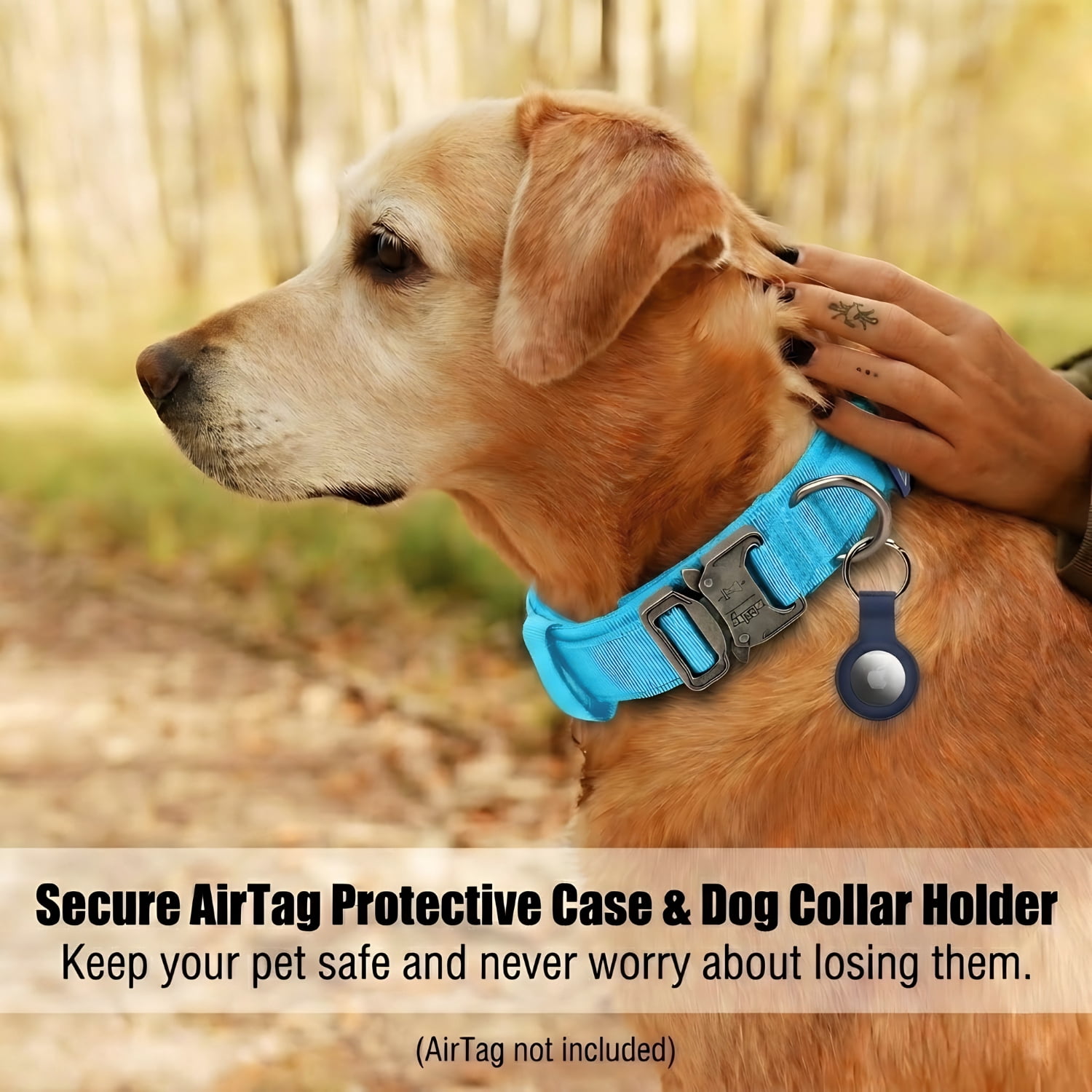 WAAYEEPAL Heavy Duty Nylon Dog Collar, Adjustable Training Collar with Control Handle, Sturdy Metal Buckle and AirTag Holder for Medium and Large Dogs (M, Blue)