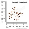thumbnail image 3 of Ferry-Morse 340MG California Poppy Mission Bells Annual Flower Seeds, Full Sun, 3 of 11