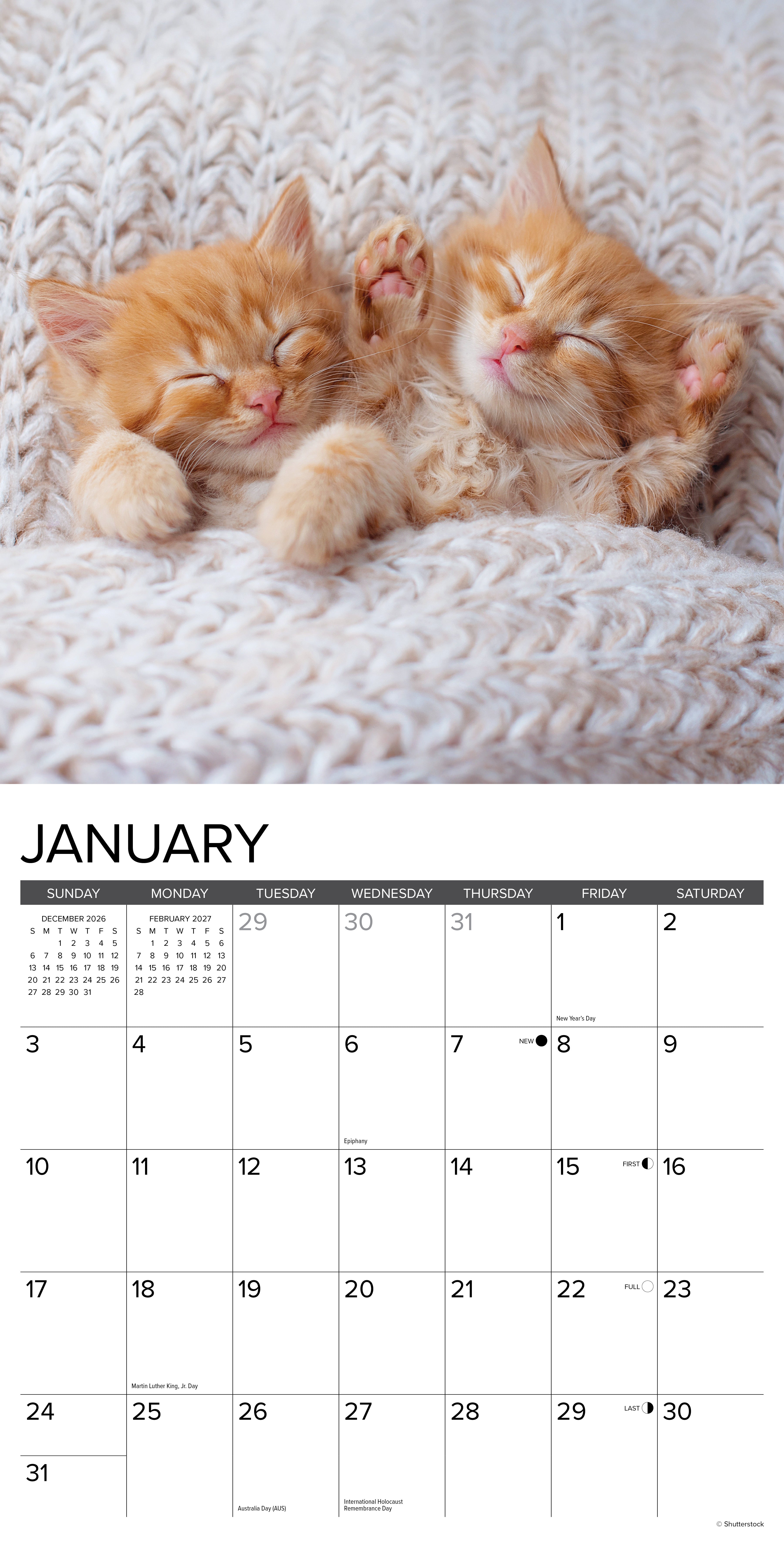 Willow Creek Press, Kittens 2027 Wall Calendar