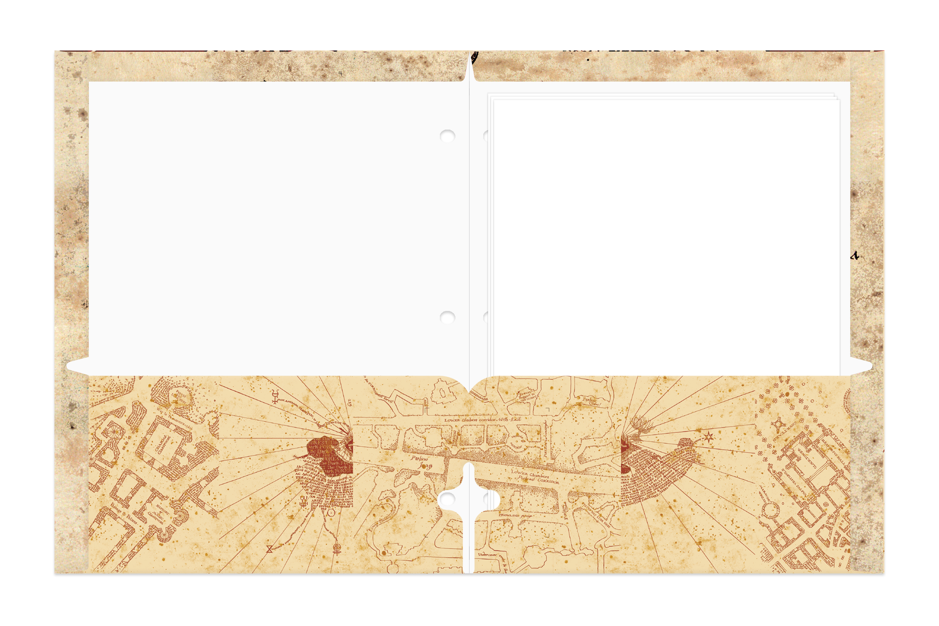 Warner Brothers Harry Potter 2-Pocket Paper Folder, 3-Hole Punched