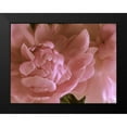 thumbnail image 2 of Burkhart, Monika 24x19 Black Modern Framed Museum Art Print Titled - Soft Peonies II, 2 of 5