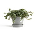 thumbnail image 4 of Ecopots Antwerp Mini Durable Modern Round Indoor/Outdoor Recycled Based Composite Flower Pot Planter, White Grey, 4.5", 4 of 4