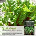 thumbnail image 7 of 3 Packs Rainbow Swiss Chard Seeds - Non-GMO Heirloom Full Sun Annual Vegetable, 7 of 7