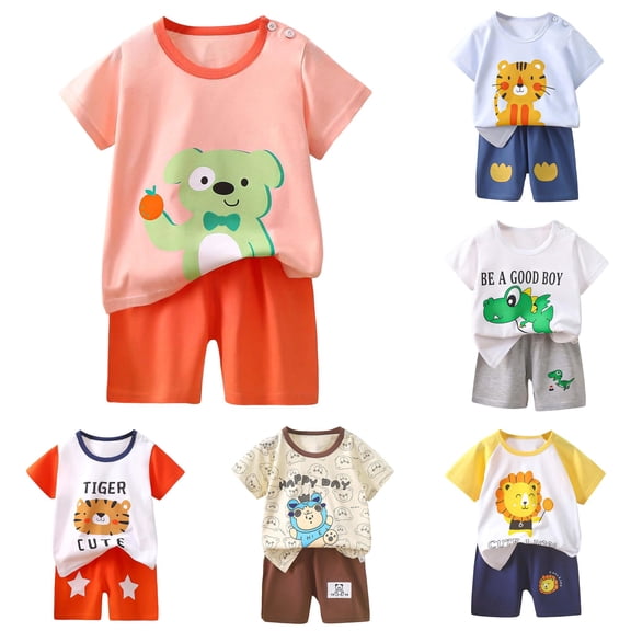 HCYSFG Boys Graphic Print Outfit Sets 2 Piece Clothing Sets Crewneck Short Sleeve T Shirt And Shorts Matching Sets