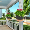 thumbnail image 5 of QCQHDU 2 Pack 10 inch Plastic Black Hanging Planters with 3 Hooks, Hanging Plant Pot Basket with Drainage Hole for Garden Home, 5 of 7