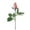 D, variant on Softball Roses | Softball Gifts Softball Leather Mother's Day Gift-Sport Leather Rose R Ro, Clearance Sales