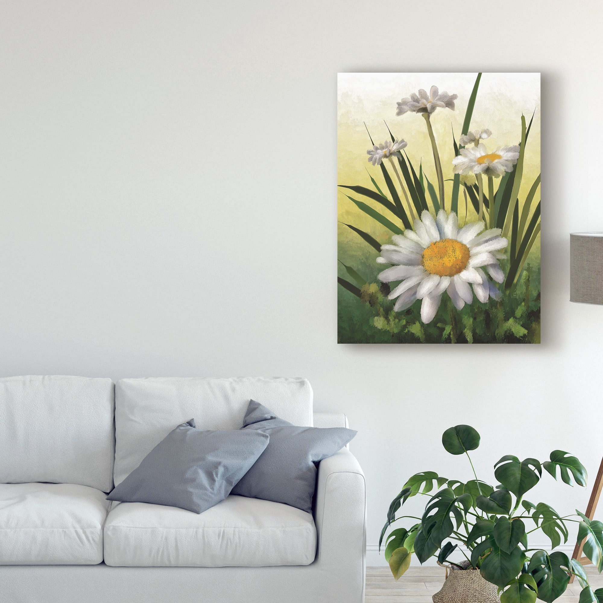 Trademark Fine Art 'Spring Daisies' Canvas Art by Lois Bryan