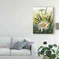 thumbnail image 3 of Trademark Fine Art 'Spring Daisies' Canvas Art by Lois Bryan, 3 of 4