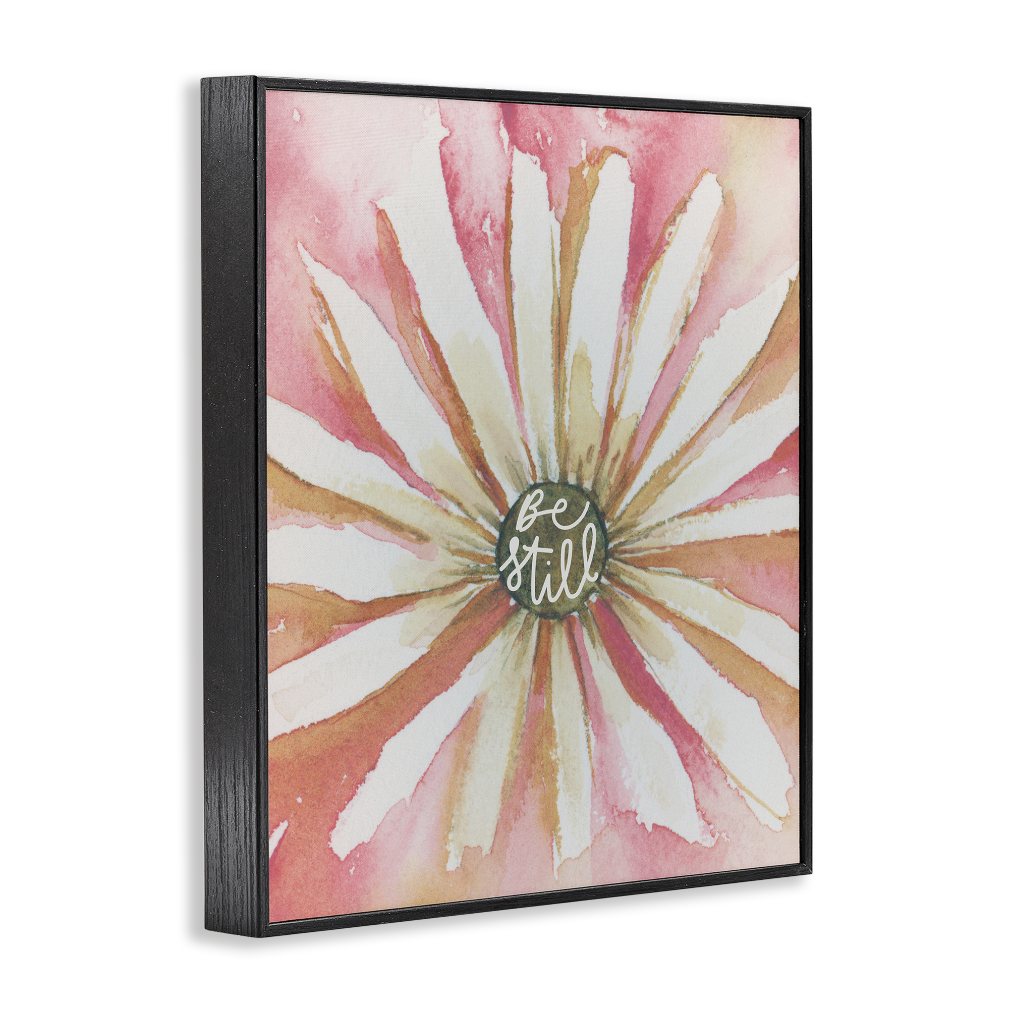 Stupell Industries Daisy Petals on Pink Botanical & Floral Painting Black Framed Art Print Wall Art, 16 x 20