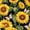 Color 1, variant on Peel and Stick Wallpaper Watercolor sunflowers butterflies black Bright summer Wall Mural 23.6in x 9.8ft Self Adhesive Removable Wall Paper Renter Friendly Wallpaper for Nursery Bedroom Cabinets