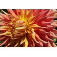 thumbnail image 2 of Maureen Love 40x28 Gallery Wrapped Canvas Wall Art Titled - Warm Sun I, 2 of 4
