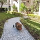 thumbnail image 5 of Dog Fetch Toy Chuckit! Ultra Ball, 4 pelotas de goma duraderas, 5 of 9
