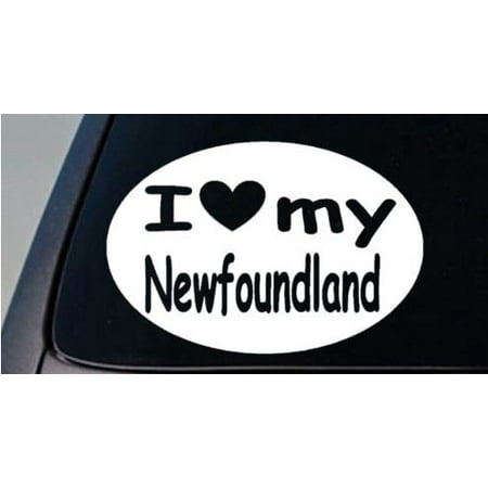 I LOVE MY NEWFOUNDLAND DOG WATER SWIM 6