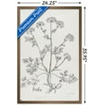 thumbnail image 3 of Jean Plout - Botanical Studies on Paper Parsley Wall Poster, 22.375" x 34" Framed, 3 of 6