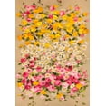 thumbnail image 2 of Borgese, Anna 18x24 Black Ornate Wood Framed with Double Matting Museum Art Print Titled - Festone di Fiori (beige), 2 of 4