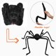 thumbnail image 2 of Araña gigante Libay decoración de Halloween al aire libre 2 m negra, 2 of 2