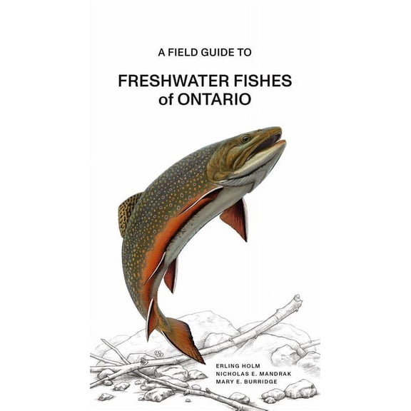 A Fish Guide to Freshwater Fishes of Ontario, (Paperback)