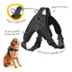 thumbnail image 4 of Pechera Arnés Nylon P/ Perro Mascota Deportiva O Paseo, 4 of 8