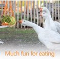 thumbnail image 2 of Chicken Vegetable Feeder String Bag - Cabbage Fruit Holder Hanging Skewer for Poultry Hens Goose Duck Cage, 2 of 7
