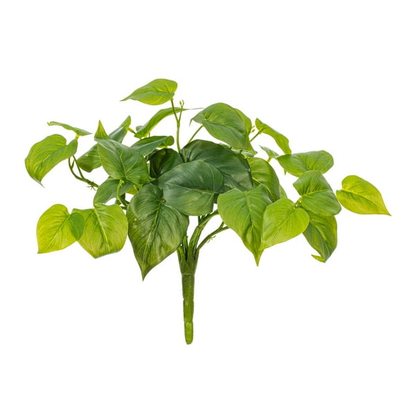 14" Green Pothos Bush UV 2/Bag