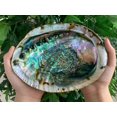 thumbnail image 4 of Abalone Shell, Seashell Incense Burner, Smudge Bowl / Holder, 4 of 14
