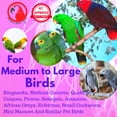 thumbnail image 7 of Bonka Bird Toys 3539 Foraging Wall Medium Bird Toy African Grey Amazon Conure, 7 of 7