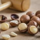thumbnail image 2 of Macadamia Orgánica con Cascara Macadamia Natural Con Cascara 2Kg Nuez Macadamia  Orgánica Con Cascara Natural., 2 of 5