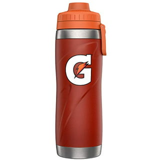 Gatorade Insulated Squeeze Bottle, 30oz, Silver, BPA Free, Double-Wall  Insulation