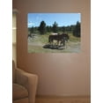 thumbnail image 2 of Tymeless Wonders "The Way Home" Wall Decal, 2 of 2