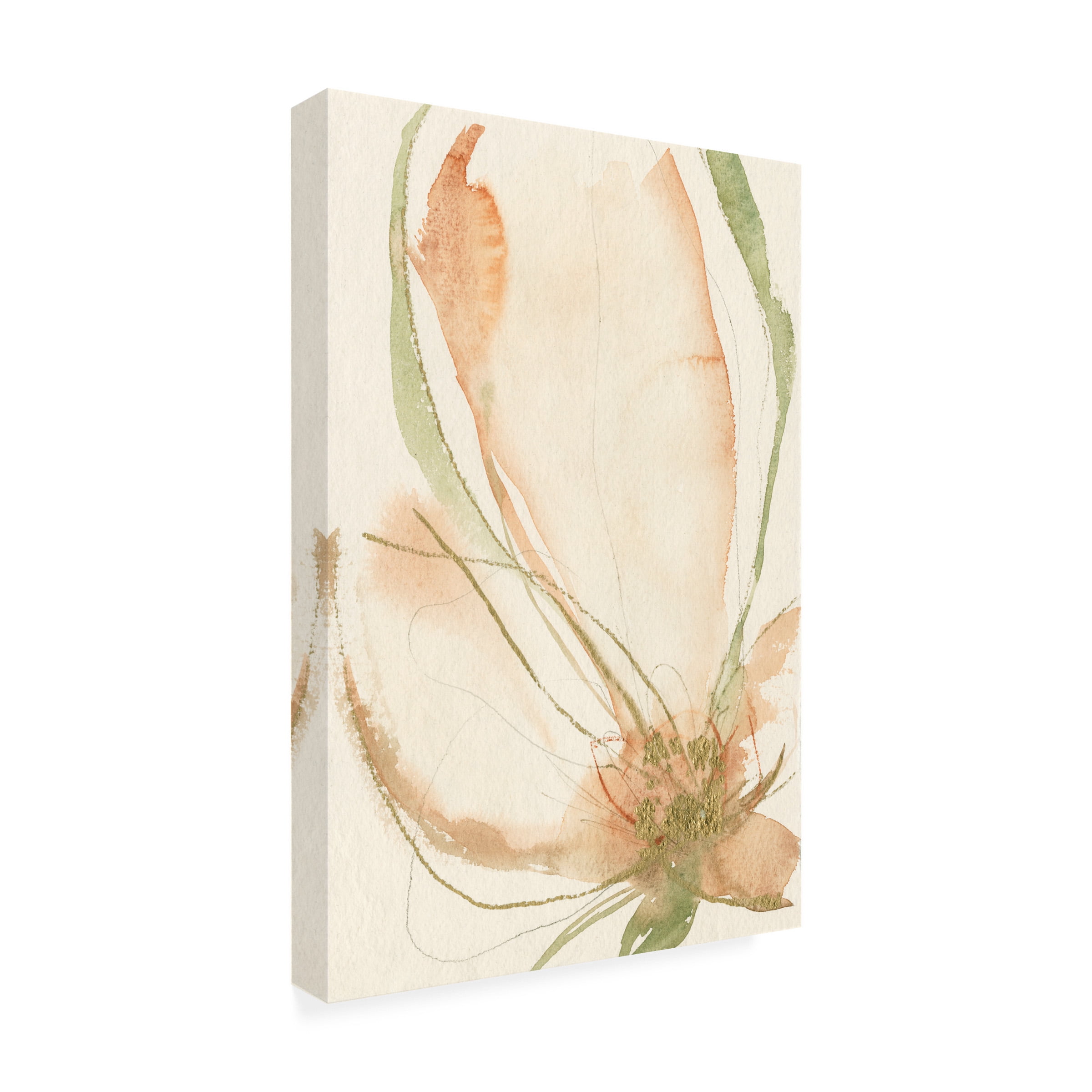Jennifer Goldberger 'Petal Sketches I' Canvas Art