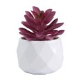 thumbnail image 1 of Planta suculenta artificial en maceta, cactus pequeños de imitación, decoración para interiores y exteriores, U7G6, 1 of 6
