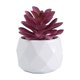 thumbnail image 1 of Planta suculenta artificial en maceta, cactus pequeños de imitación, decoración para interiores y exteriores, U7G6, 1 of 6