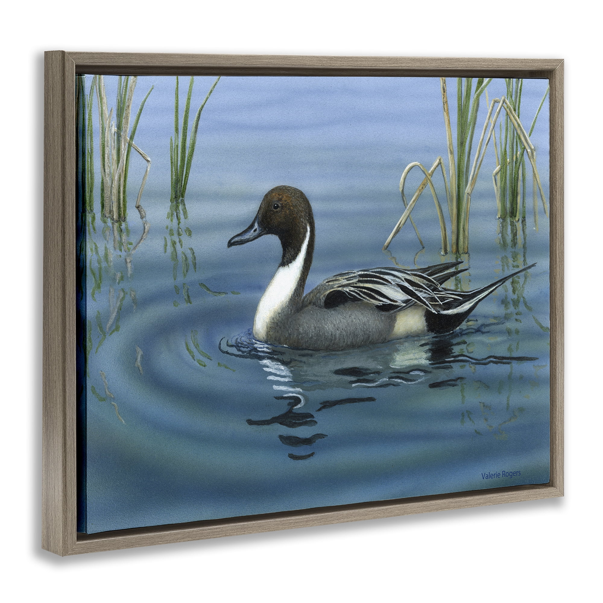 Stupell Industries Pintail Loon in Pond Animals Painting Brown Floater Framed Canvas Art Print Wall Art, 31 x 25
