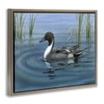 thumbnail image 3 of Stupell Industries Farmhouse Pintail Loon in Pond Brown Floating Frame Canvas Art, 21 x 17, by Valerie Rogers, 3 of 8