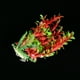 thumbnail image 4 of Plantas acuáticas simuladas rojas de 25cm paisaje agua hierba adorno en miniatura plantas de agua con base de cerámica para pecera acuario, 4 of 5