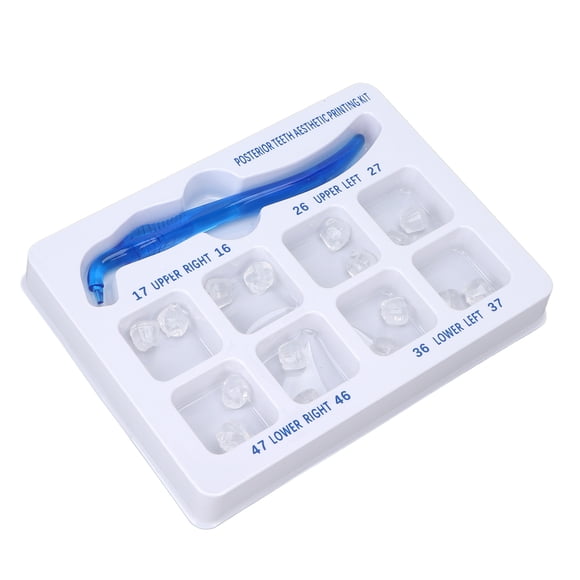 Kit de impresión estética de dientes dentales, impresión estética de dientes posteriores Kit de molde estético de dientes posteriores Kit de impresión estética de dientes dentales Características líderes en su clase