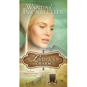 A Plain Disappearance An Appleseed Creek Mystery Walmart Com