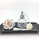 thumbnail image 4 of Soidarity Botella vacía con bolsa de aire, decoración artística, botellas de Perfume, juego de difusor transparente, fragancia de inodoro para viaje en Protección de la piel Soidarity CE014101-00, 4 of 6